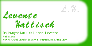 levente wallisch business card